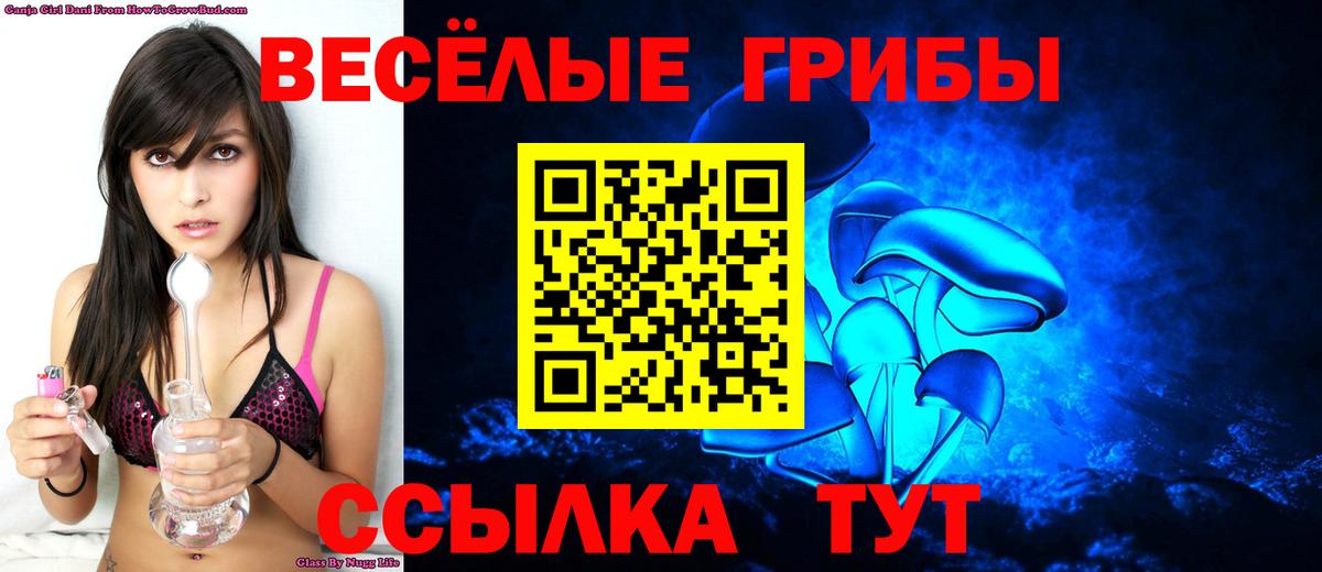 Галлюциногенные грибы GOLDEN TEACHER  Вход с VPN  наркота  Надым 