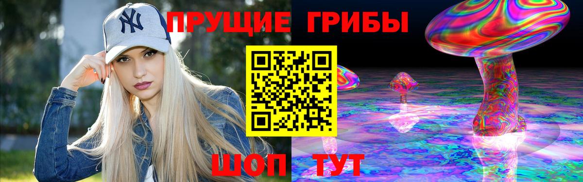 Псилоцибиновые грибы Psilocybe Надым
